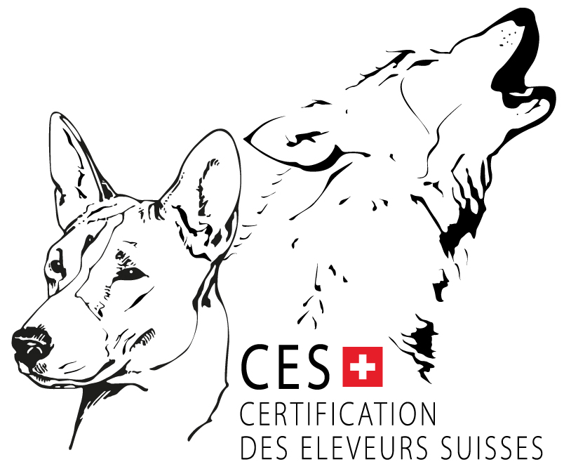 CES logo 